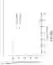 Fig. 68 - PSMA-TARGETED NIR DYES AND THEIR USES