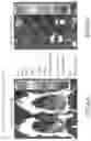 Fig. 81 - PSMA-TARGETED NIR DYES AND THEIR USES