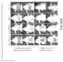 Fig. 85 - PSMA-TARGETED NIR DYES AND THEIR USES