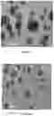 Fig. 43 - SENSITIVITY ADVANCES IN ULTRASOUND SWITCHABLE FLUORESCENCE SYSTEMS AND TECHNIQUES