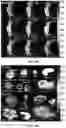 Fig. 53 - SENSITIVITY ADVANCES IN ULTRASOUND SWITCHABLE FLUORESCENCE SYSTEMS AND TECHNIQUES