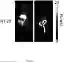 Fig. 05 - Macrocyclic Agents for Targeted Dual-Modality PET and MRI Imaging of Cancer