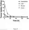 Fig. 09 - Macrocyclic Agents for Targeted Dual-Modality PET and MRI Imaging of Cancer