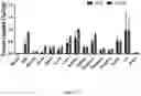 Fig. 11 - Macrocyclic Agents for Targeted Dual-Modality PET and MRI Imaging of Cancer