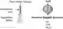 Fig. 01 - METHODS AND SYSTEMS FOR REDUCING A PATHOGEN POPULATION