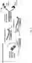 Fig. 02 - ADHESIVE FOR OSSEOINTEGRATED PERCUTANEOUS DEVICES