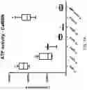 Fig. 12 - ADHESIVE FOR OSSEOINTEGRATED PERCUTANEOUS DEVICES