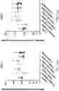 Fig. 20 - ADHESIVE FOR OSSEOINTEGRATED PERCUTANEOUS DEVICES