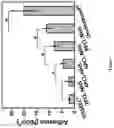 Fig. 10 - BIOCOMPATIBLE TISSUE-ADHESIVE POLYMERS