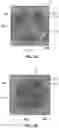 Fig. 03 - Heat Treating to Improve Synthetic Leaflet Motion and Coaptation