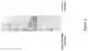 Fig. 02 - ORGANIC SOLVENT FREE COMPOSITIONS COMPRISING PROTEIN-POLYMER CONJUGATES AND USES THEREOF