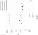 Fig. 07 - ORGANIC SOLVENT FREE COMPOSITIONS COMPRISING PROTEIN-POLYMER CONJUGATES AND USES THEREOF