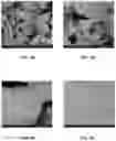 Fig. 07 - FLUORAPATITE COATED IMPLANTS AND RELATED METHODS REGARDING FEDERALLY SPONSORED RESEARCH