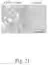 Fig. 22 - Engineering mechanically functional human cartilage and method of making same