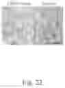 Fig. 23 - Engineering mechanically functional human cartilage and method of making same