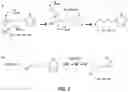 Fig. 04 - METHODS AND COMPOSITIONS FOR PROTECTION OF BIOPROSTHETIC HEART VALVE TISSUE FROM GLYCATION AND ASSOCIATED PROTEIN INCORPORATION
