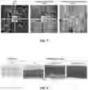Fig. 06 - METHODS AND COMPOSITIONS FOR PROTECTION OF BIOPROSTHETIC HEART VALVE TISSUE FROM GLYCATION AND ASSOCIATED PROTEIN INCORPORATION