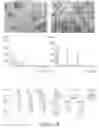 Fig. 07 - BONE-LIKE PROSTHETIC IMPLANTS