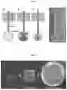 Fig. 02 - BIODEGRADABLE SCAFFOLD FOR HAIR GROWTH AND METHODS OF USE THEREFOR