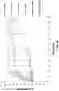 Fig. 05 - X-RAY AND MRI VISIBLE SHAPE MEMORY POLYMER BIOPSY SEALING DEVICE