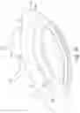 Fig. 30 - Cushion for a respiratory mask assembly