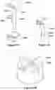 Fig. 16 - ADAPTORS AND USABILITY FEATURES FOR RESPIRATORY ASSISTANCE SYSTEMS
