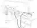 Fig. 01 - CPAP system