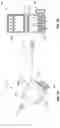 Fig. 02 - INTRAVENOUS CATHETER LOCK