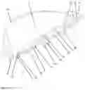 Fig. 17 - Implant for local active ingredient release