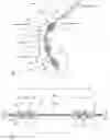 Fig. 08 - Intravascular blood pumps and methods of use and manufacture