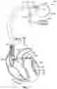 Fig. 02 - Method and device for designating left ventricular pacing based on pre-LV and post-LV pacing cardiac activity signals