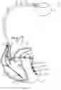 Fig. 02 - METHOD AND SYSTEM FOR BIVENTRICULAR OR LEFT VENTRICULAR PACING