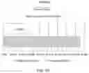 Fig. 17 - Stem cell rich plasma compositions and uses thereof for treating aging subjects