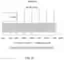 Fig. 19 - Stem cell rich plasma compositions and uses thereof for treating aging subjects