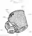Fig. 03 - SCBA mask shield