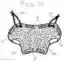 Fig. 07 - SCBA mask shield