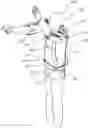 Fig. 01 - INTEGRATED FALL-PROTECTION HARNESSES AND EXOSKELETONS AND METHODS FOR USE