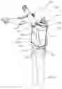 Fig. 04 - INTEGRATED FALL-PROTECTION HARNESSES AND EXOSKELETONS AND METHODS FOR USE