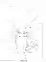 Fig. 34 - DOLL