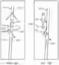 Fig. 13 - System and method for repeatable switching between an animated figure and a free motion figure