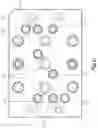 Fig. 09 - HOT MELT ADHESIVE FOAM DISPENSING SYSTEM