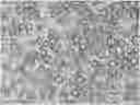 Fig. 01 - Process for the preparation of microcapsules