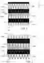 Fig. 03 - Silicon chip having multi-zone through silicon vias and method of manufacturing the same