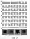 Fig. 15 - Silicon chip having multi-zone through silicon vias and method of manufacturing the same