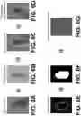 Fig. 06 - Systems and methods for peanut sorting and grading
