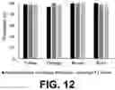 Fig. 11 - Systems and methods for peanut sorting and grading