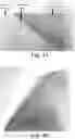 Fig. 05 - Abrasive sheet including a plurality of protrusions