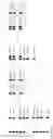 Fig. 02 - Method for producing towpreg