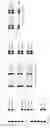 Fig. 03 - Method for producing towpreg