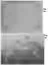 Fig. 07 - Reciprocating Ram-Based Methods for Forming Thermoplastic Articles Having Smooth Edges